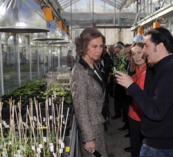 Su Majestad la Reina visitó las instalaciones de cultivo del Centro Nacional de Biotecnología